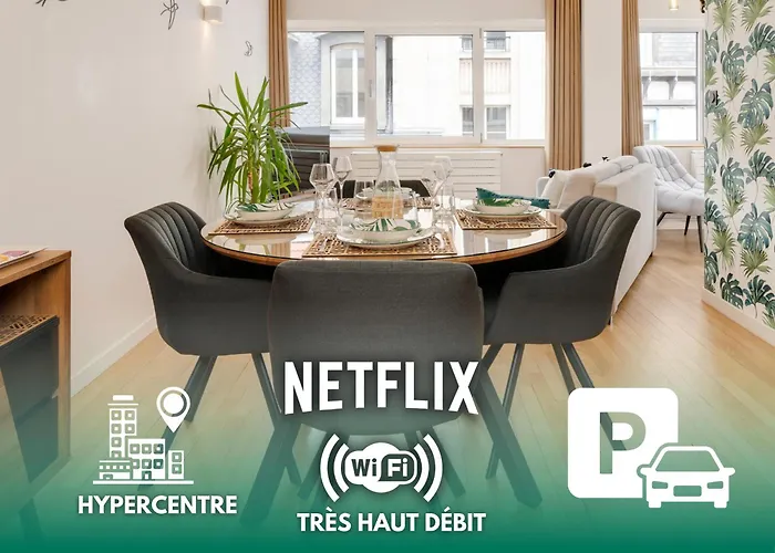 Chaleureux, Lumineux Et Confortable F2 Renove En Plein Coeur De Nancy