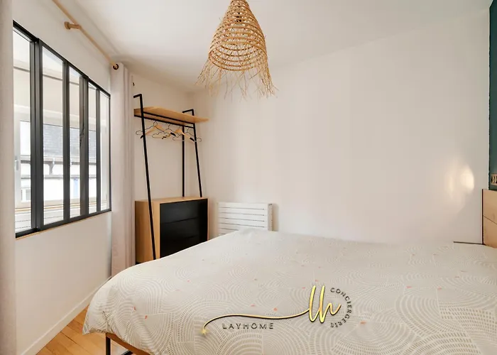 Chaleureux, Lumineux Et Confortable F2 Renove En Plein Coeur De Nancy